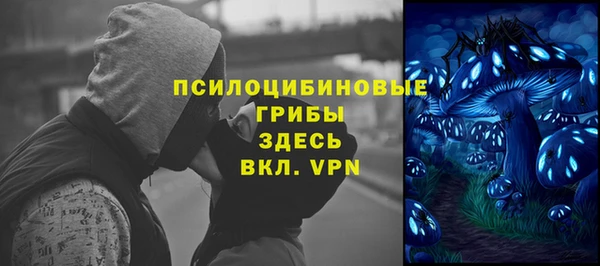 ПСИЛОЦИБИНОВЫЕ ГРИБЫ Богородск