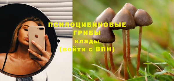 амф Богородицк