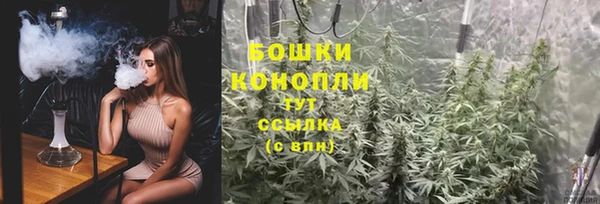 амф Богородицк