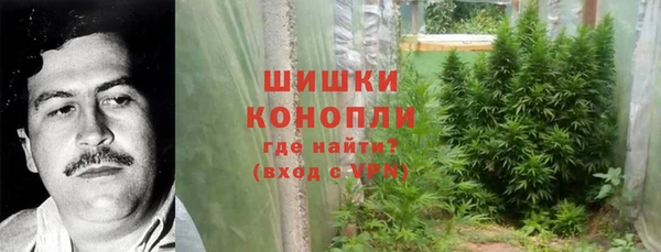 ПСИЛОЦИБИНОВЫЕ ГРИБЫ Богородск