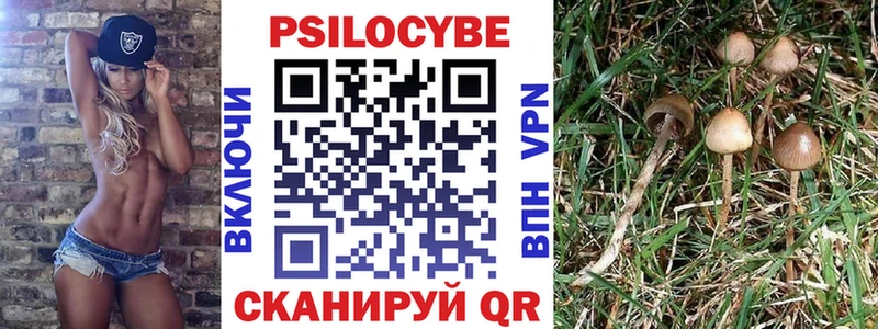 Галлюциногенные грибы Cubensis  OMG маркетплейс  Морозовск 